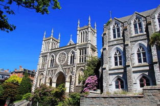 夢想照進(jìn)現(xiàn)實(shí) 在新西蘭學(xué)習(xí)動(dòng)漫技術(shù)開發(fā)，踏上成為下一個(gè)宮崎駿的旅程